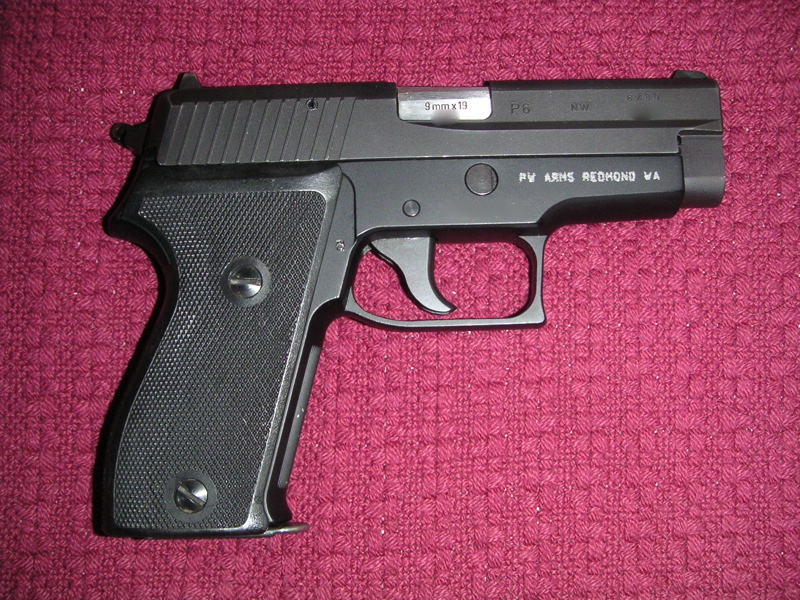 Sig P6